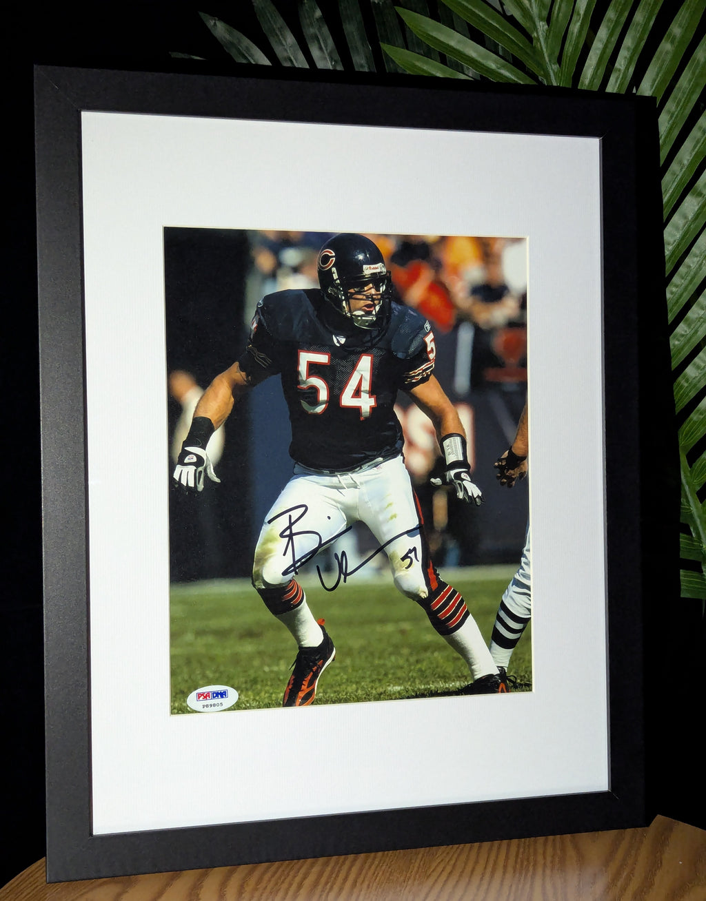 Brian Urlacher - Signed 8x10 (PSA)